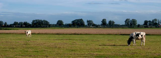 Thema-avond landbouw